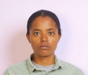 Face Photo